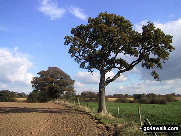 Field nr Paradise Green 