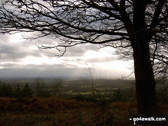 Walk su100 Leith Hill from Friday Street - The view from Leith Hill