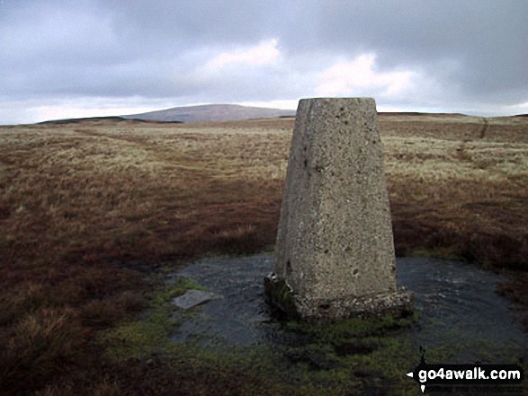 Walk ny141 Gragareth and Green Hill from Kingsdale - Gragareth summit trig point