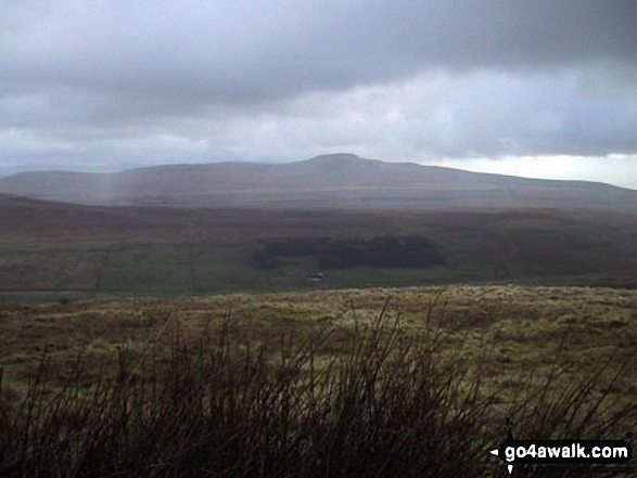 Walk ny141 Gragareth and Green Hill from Kingsdale - Ingleborough from Gragareth