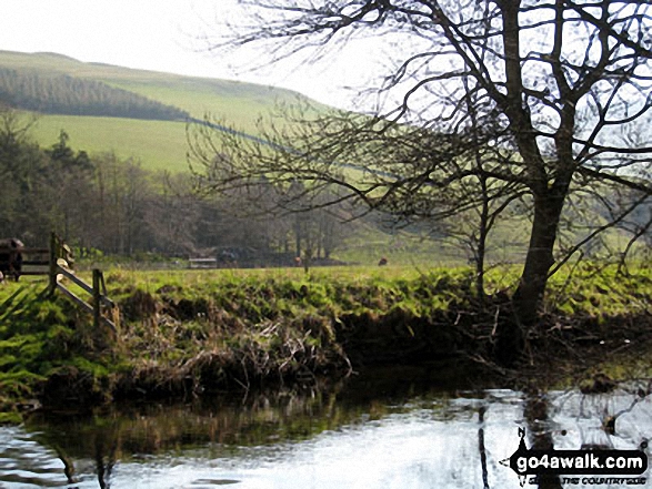 Walk bo131 Woden Law from Tow Ford - Crossing Kale Water on St Cuthbert's Way