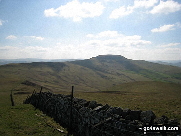 Walk bo124 Hownam Law from Morebattle - Looking South East to Cushat End and Hownam Law from Grubbit Law