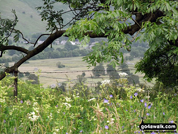 Walk ny133 Yockenthwaite from Buckden - Buckden from Todd's Wood