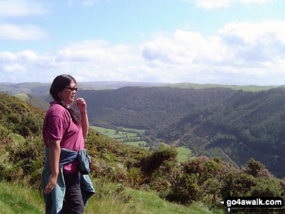 Above the Rheidol Valley, near Pontarfynach / Devil's Bridge 