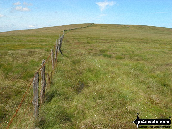 Walk du116 The Dodd and Killhope Law from Killhope Cross - Climbing The Dodd