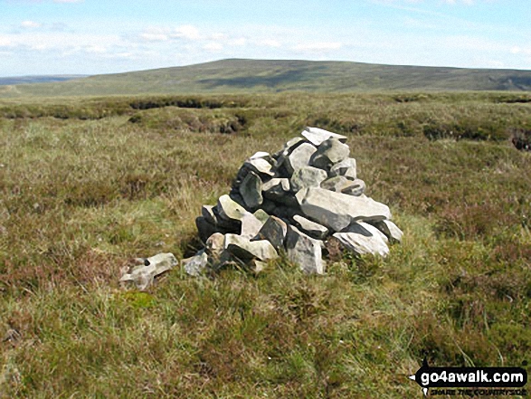 Walk du116 The Dodd and Killhope Law from Killhope Cross - Killhope Law from summit cairn on The Dodd