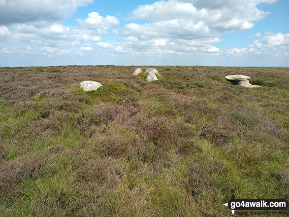 Walk d277 Margery Hill from Fairholmes Car Park, Ladybower Reservoir - Featherbed Moss (Howden Edge) summit stones