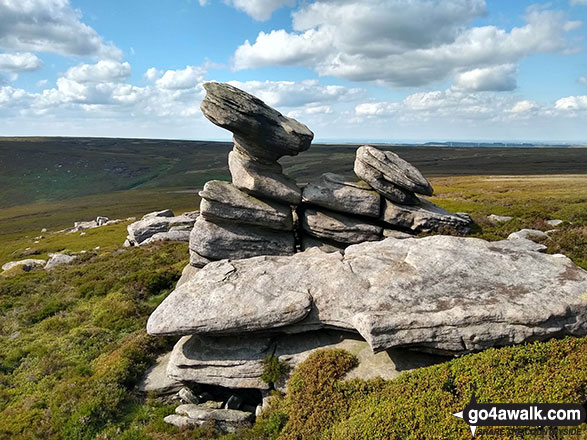 Walk sy119 Horse Stone and Outer Edge from The Flouch - Wind sculptured rocks at Crow Stones