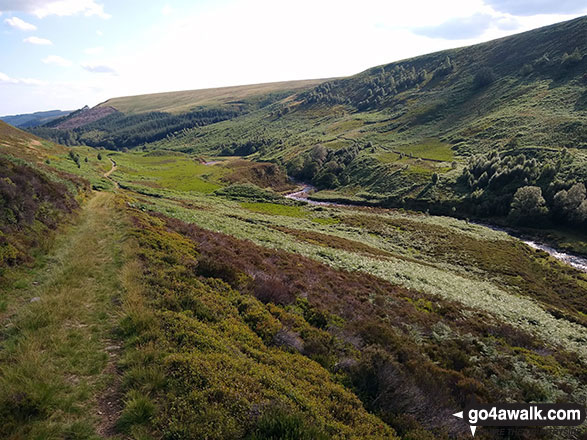 Walk d298 Back Tor and Margery Hill from Fairholmes Car Park, Ladybower Reservoir - Cranberry Bed