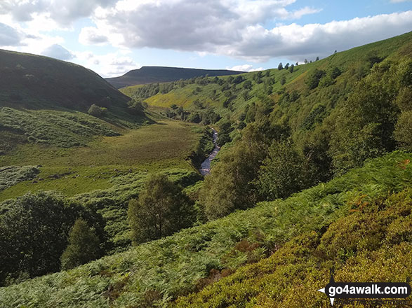 Walk d298 Back Tor and Margery Hill from Fairholmes Car Park, Ladybower Reservoir - Oaken Bank from Cranberry Bed