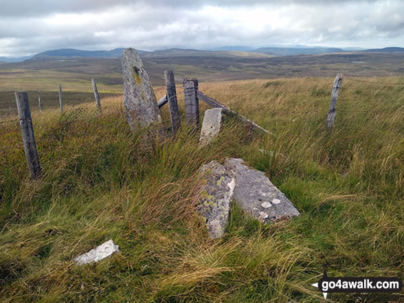 Walk gw104 Carnedd y Filiast and Arenig Fach from Llyn Celyn - Fence junction marking the summit of Carnedd Iago