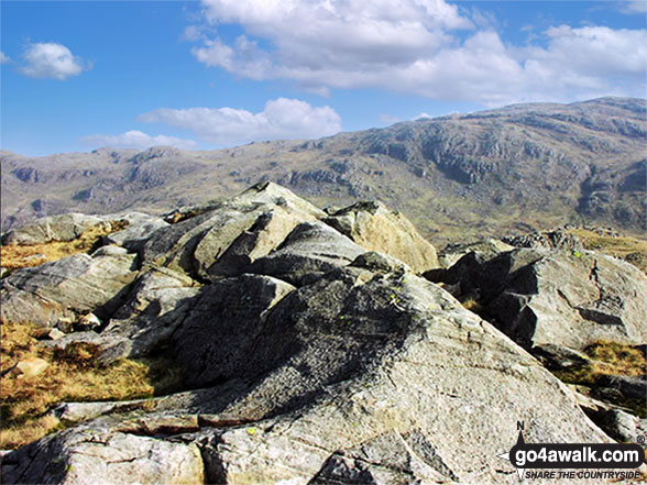 Seathwaite Fell (South Top) Photo by Mark Davidson