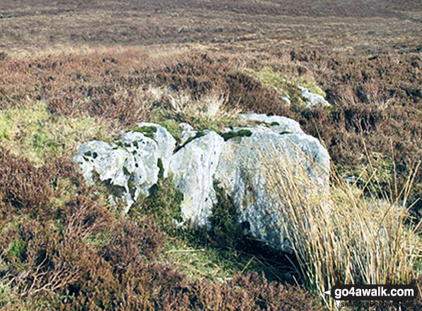 The summit of Foel Cedig 