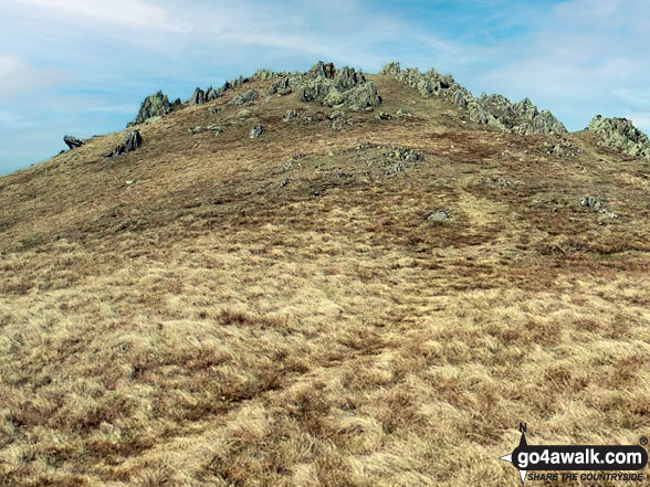 Walk gw171 Bera Bach from Bont Newydd - The summit of Gyrn Wigau