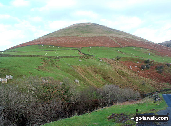 Walk po147 The Glen Collwn Round from Talybont Reservoir - Blease Fell from Carlingill Bridge