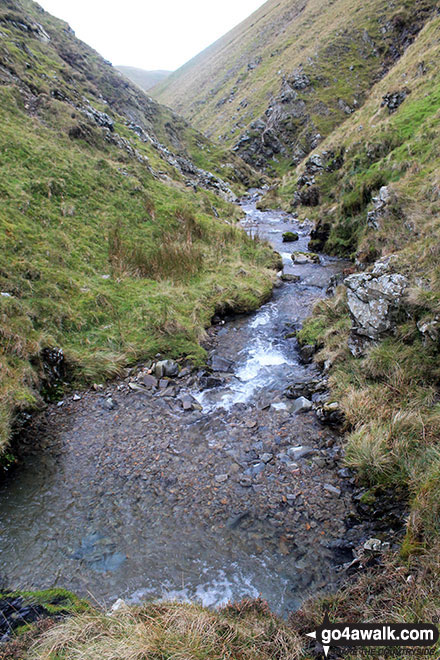 Carlingill Beck in Carlin Gill at the top of Carlingill Spout 