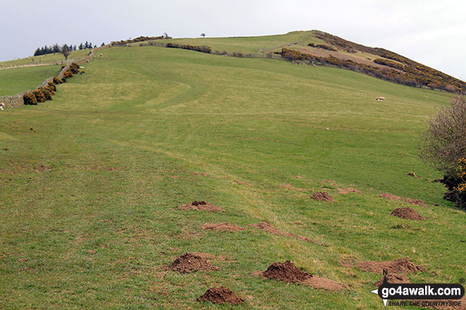 Walk c457 Watch Hill (Cockermouth) and Setmurthy Common (Watch Hill) from Cockermouth - Watch Hill (Cockermouth)