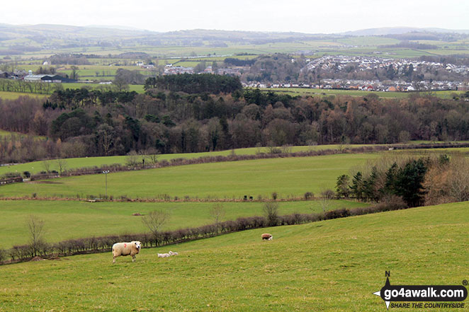 Cockermouth from Watch Hill (Cockermouth) 