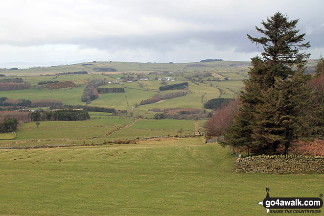 View from the summit of Watch Hill (Cockermouth)