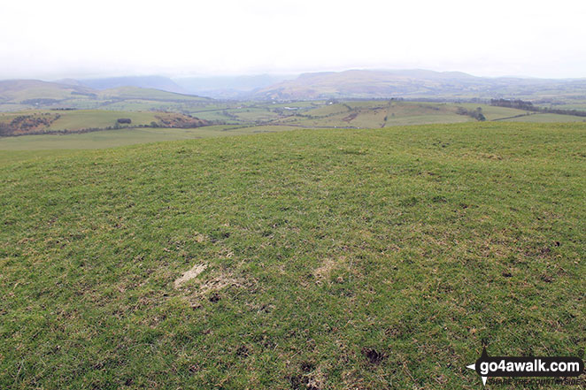 Walk c457 Watch Hill (Cockermouth) and Setmurthy Common (Watch Hill) from Cockermouth - The unmarked summit of Watch Hill (Cockermouth)