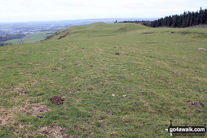 Walk c457 Watch Hill (Cockermouth) and Setmurthy Common (Watch Hill) from Cockermouth - Looking west on the unmarked summit of Watch Hill (Cockermouth)