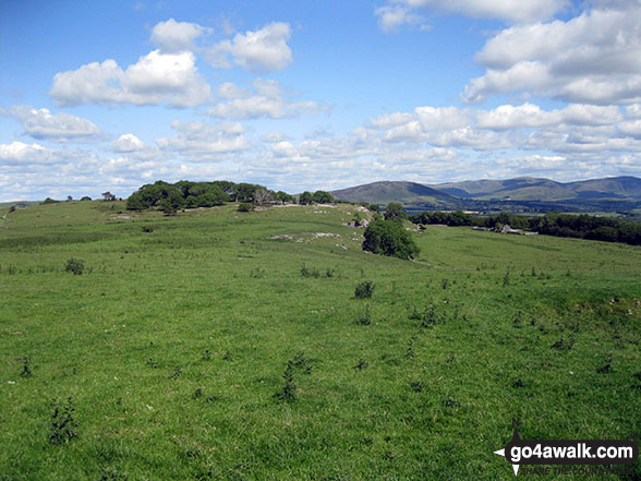 Walk c457 Watch Hill (Cockermouth) and Setmurthy Common (Watch Hill) from Cockermouth - Heading up to Clints Crags