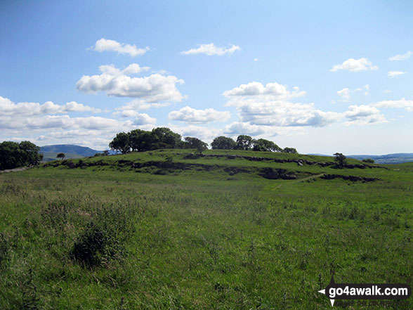 Clints Crags summit