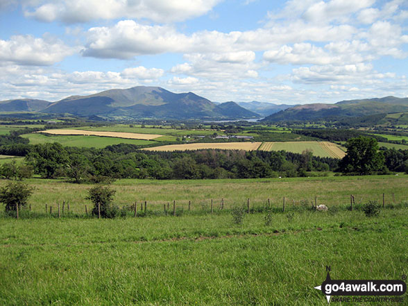 The Skiddaw massif from Thackray Wood