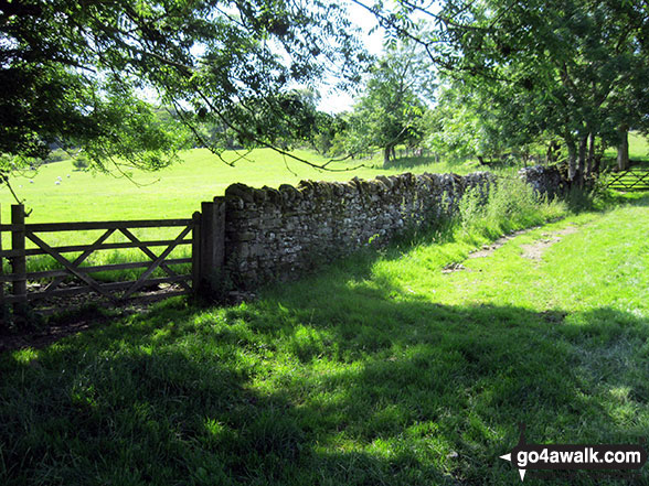 Willie White's Well - a natural spring 