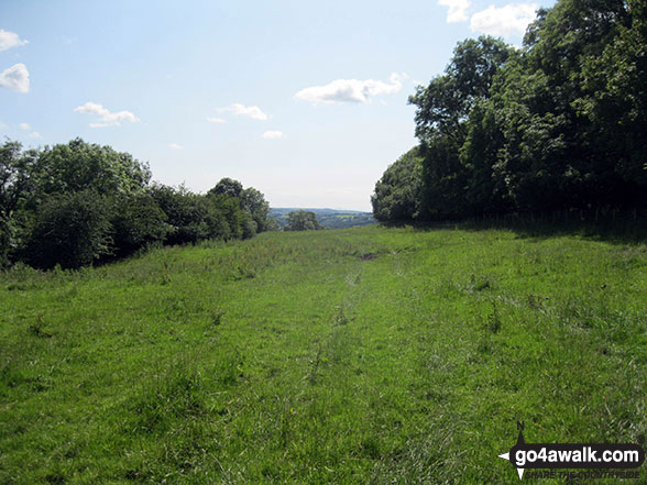 The wide avenue leading back to Blindcrake through Isle Park 