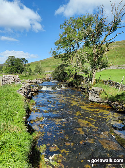 Walk ny112 Pen-y-ghent and Plover Hill from Dale Head - The River Skilfare between Foxup and Halton Gill