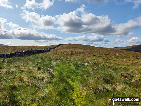 Approaching Blaydike Moss