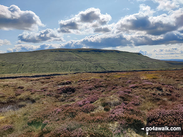 Plover Hill and Pen-y-ghent from the summit of Blaydike Moss