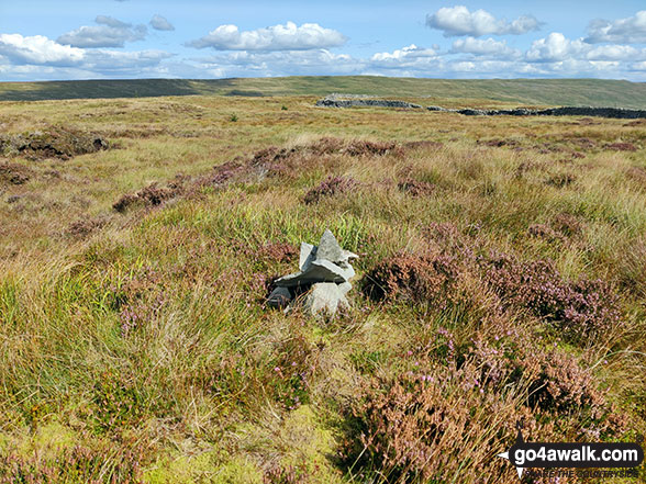 Walk Blaydike Moss walking UK Mountains in The Southern Dales Area The Yorkshire Dales National Park North Yorkshire, England