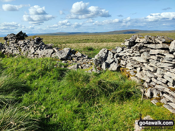 Walk ny146 High Green Field Knott (Cosh Knott) from Horton in Ribblesdale - The actual summit of High Green Field Knott (Cosh Knott)