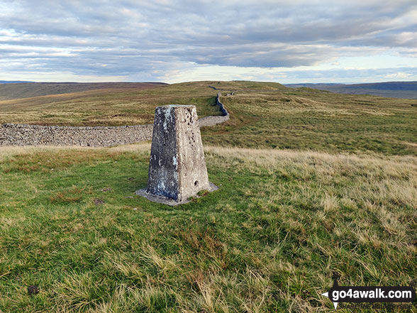 Walk ny146 High Green Field Knott (Cosh Knott) from Horton in Ribblesdale - The Trig Point on Horse Head