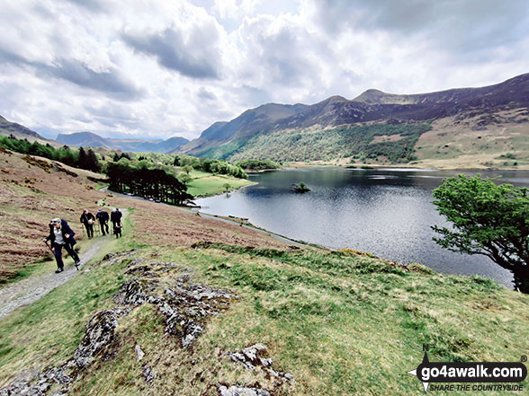 Walk c256 Grasmoor Ridge and Whiteless Pike from Lanthwaite Green - Climbing Rannerdale Knotts from Crummock Water