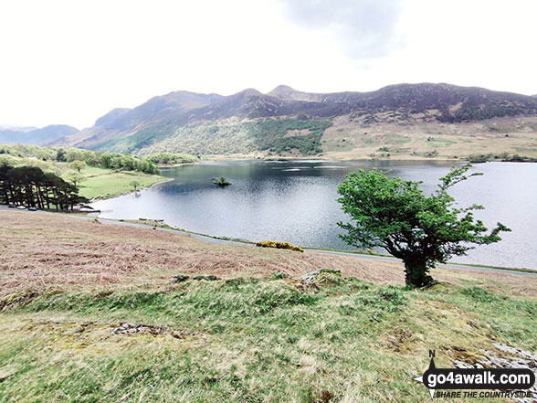 Walk c256 Grasmoor Ridge and Whiteless Pike from Lanthwaite Green - The Buttermere Fells across Crummock Water from the lower slopes of Rannerdale Knotts