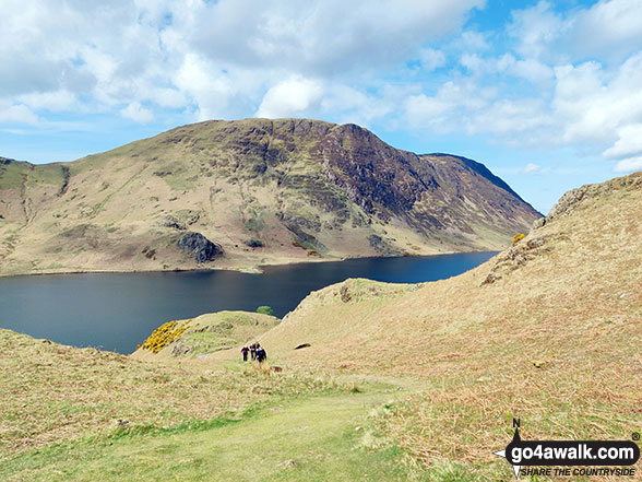 Walk c256 Grasmoor Ridge and Whiteless Pike from Lanthwaite Green - Melbreak across Crummock Water from the lower slopes of Rannerdale Knotts