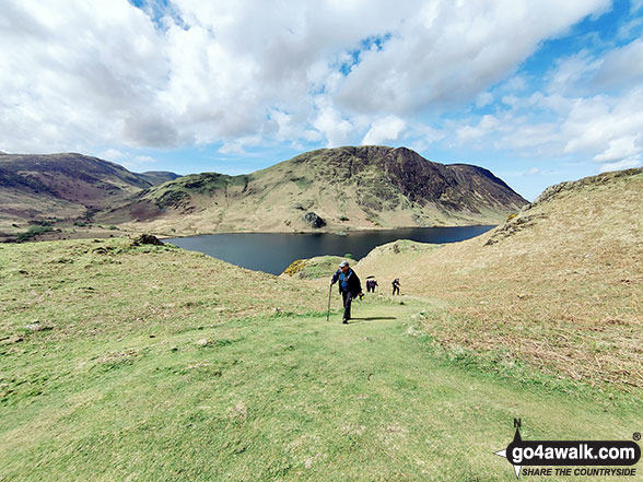 Walk c256 Grasmoor Ridge and Whiteless Pike from Lanthwaite Green - On Rannerdale Knotts with Melbreak across Crummock Water in the background
