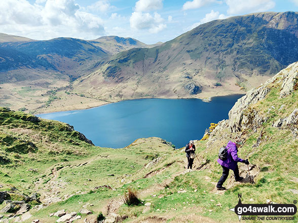 Walk c256 Grasmoor Ridge and Whiteless Pike from Lanthwaite Green - Climbing the steep bit up Rannerdale Knotts with Starling Dodd, Hen Comb and Melbreak across Crummock Water in the background