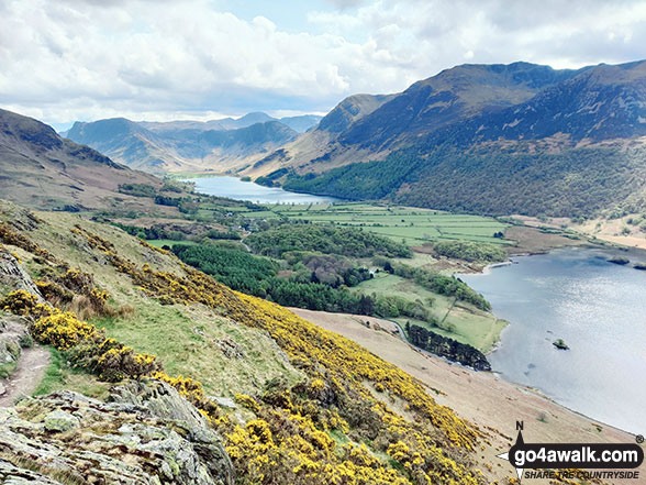 Walk c256 Grasmoor Ridge and Whiteless Pike from Lanthwaite Green - Fleetwith Pike and Haystacks at the end of Buttermere, with the Buttermere Fells - High Crag, High Stile and Red Pike (Buttermere) - from Rannerdale Knotts
