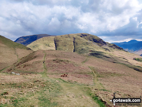 Walk c256 Grasmoor Ridge and Whiteless Pike from Lanthwaite Green - Whiteless Pike from Rannerdale Knotts