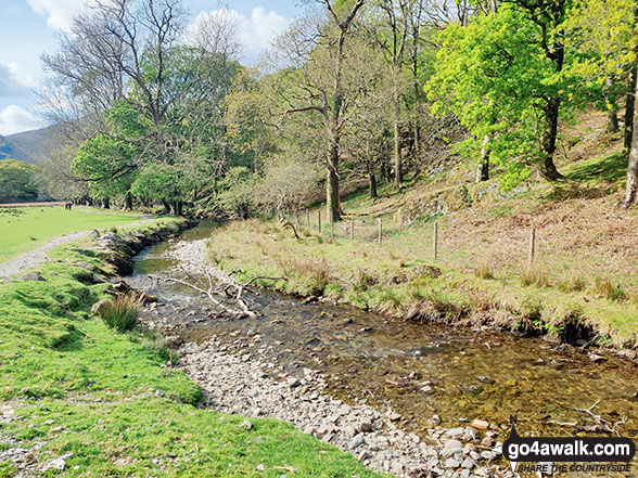 Walk c397 The Buttermere Fells from Buttermere - Sail Beck, Buttermere