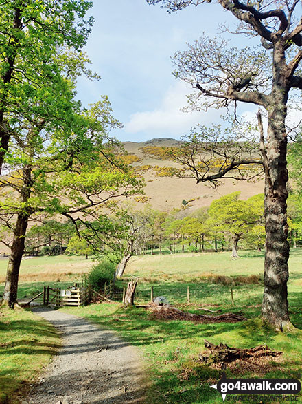 Walk c397 The Buttermere Fells from Buttermere - Rannerdale Knotts from Crummock Water, Buttermere