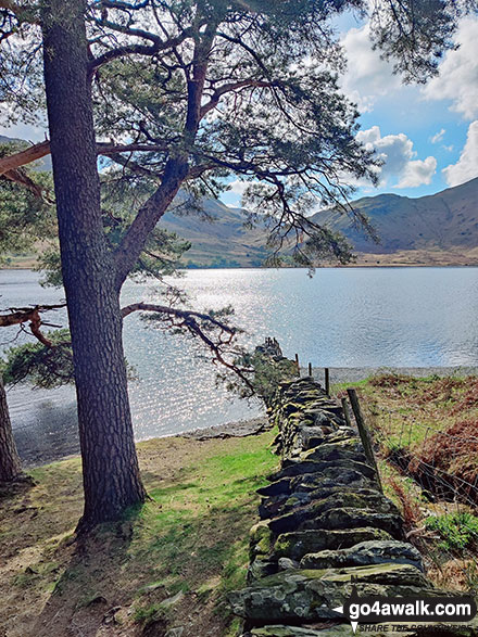 Walk c397 The Buttermere Fells from Buttermere - Crummock Water, Buttermere
