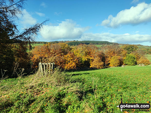 Photo of Autumn views from Chirk Castle in The Clwydian Hills, Wrexham, Wales by Marc Davidson (1)
