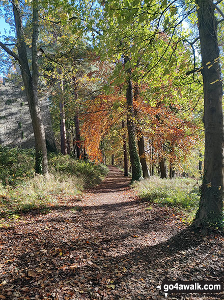 Photo of Autumn views from Chirk Castle in The Clwydian Hills, Wrexham, Wales by Marc Davidson (3)
