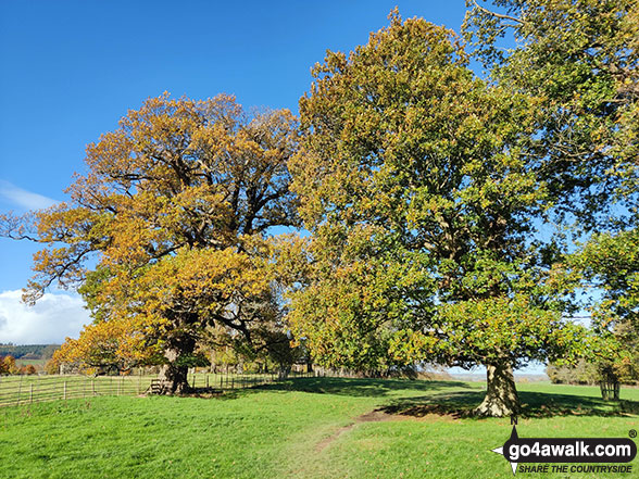 Photo of Autumn views from Chirk Castle in The Clwydian Hills, Wrexham, Wales by Marc Davidson (5)