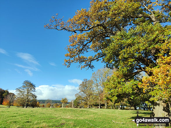 Photo of Autumn views from Chirk Castle in The Clwydian Hills, Wrexham, Wales by Marc Davidson (6)